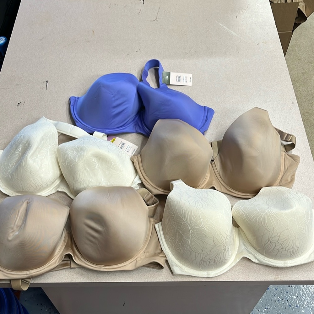 44DD bras